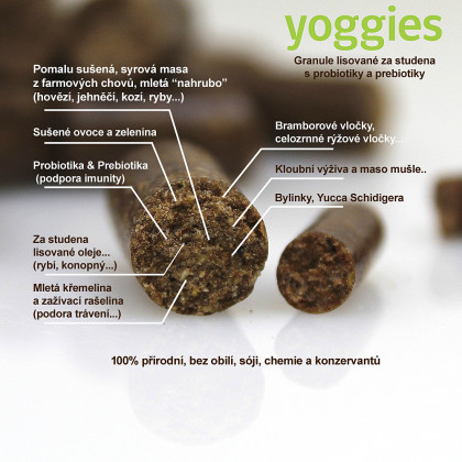 10kg Yoggies Kozí maso&zelenina, hypoalergenní granule lisované za studena s probiotiky